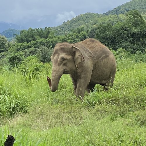 Souvenir du voyage de Yves, Thaïlande