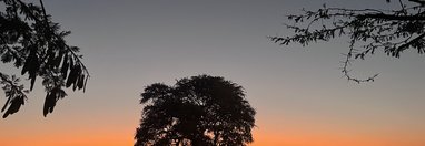 Souvenir du voyage de Marion, Namibie