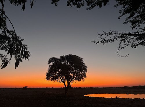 Souvenir du voyage de Marion, Namibie