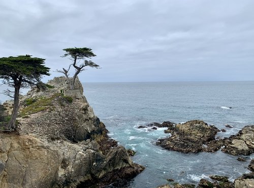 Souvenir du voyage de Fabienne, Etats Unis