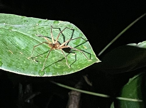 Souvenir du voyage de Pierre, Costa Rica