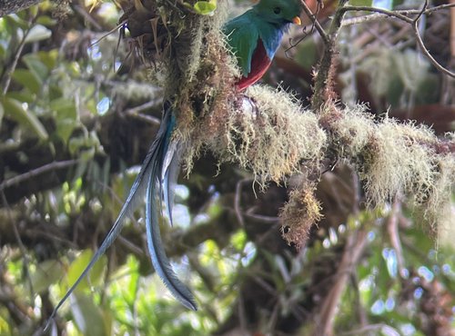 Souvenir du voyage de Pierre, Costa Rica