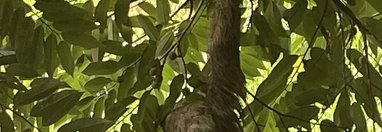 Souvenir du voyage de Maeva, Costa Rica