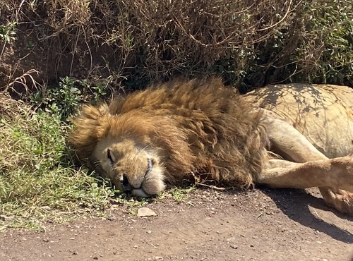 Souvenir du voyage de Sarah, Tanzanie