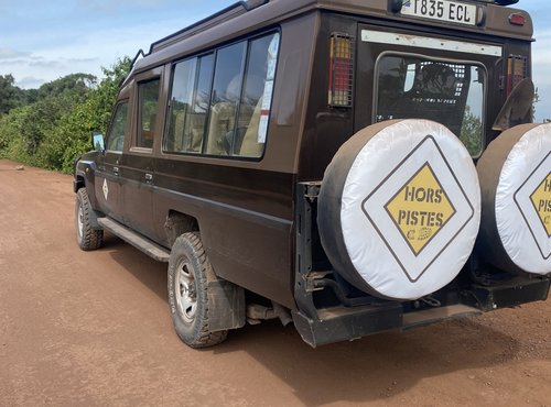 Souvenir du voyage de Sarah, Tanzanie