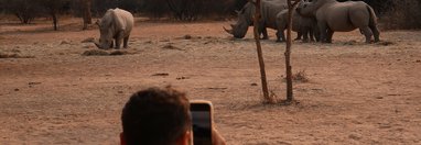 Souvenir du voyage de Fanny, Namibie