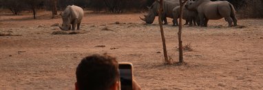 Souvenir du voyage de Fanny, Namibie