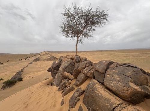 Souvenir du voyage de Jean Paul, Maroc
