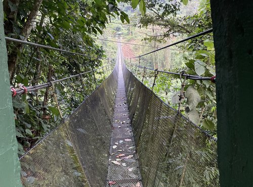 Souvenir du voyage de Pierre, Costa Rica