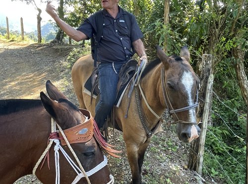 Souvenir du voyage de Pierre, Costa Rica