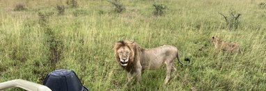 Souvenir du voyage de Christophe, Tanzanie