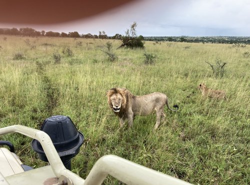 Souvenir du voyage de Christophe, Tanzanie