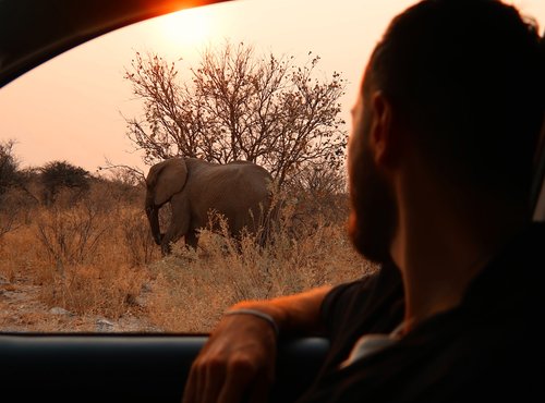 Souvenir du voyage de Fanny, Namibie