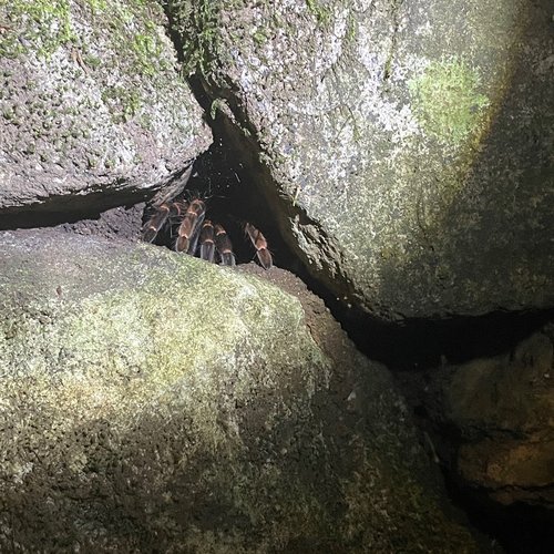Souvenir du voyage de Pierre, Costa Rica