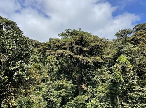 Souvenir du voyage de Pierre, Costa Rica