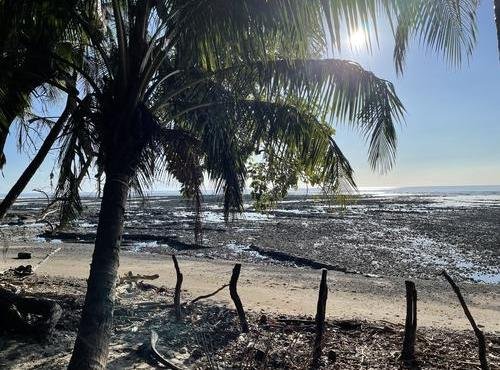 Souvenir du voyage de Pierre, Costa Rica