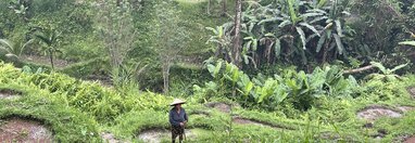 Souvenir du voyage de Anaïs, Indonésie