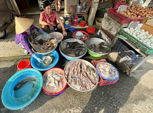 Souvenir du voyage de Nathalie, Vietnam