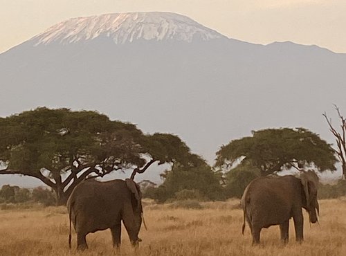 Souvenir du voyage de Corinne, Kenya