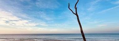 Souvenir du voyage de Jacques, Sri Lanka