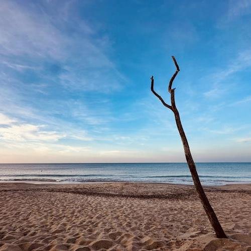 Souvenir du voyage de Jacques, Sri Lanka