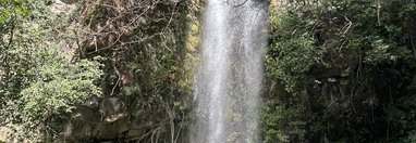 Souvenir du voyage de Eric, Costa Rica