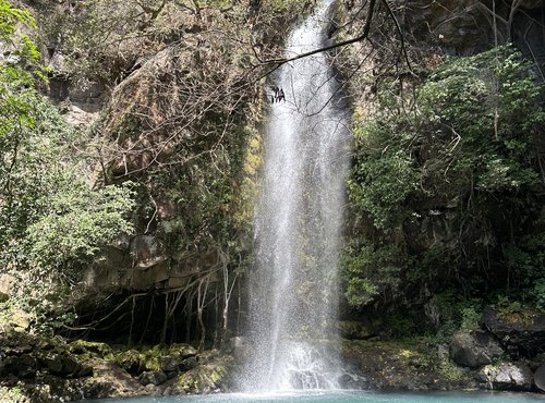 Souvenir du voyage de Eric, Costa Rica