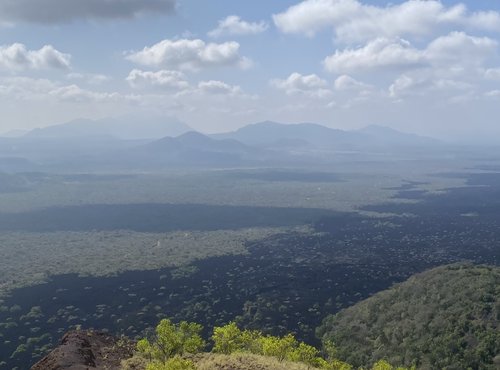 Souvenir du voyage de Corinne, Kenya