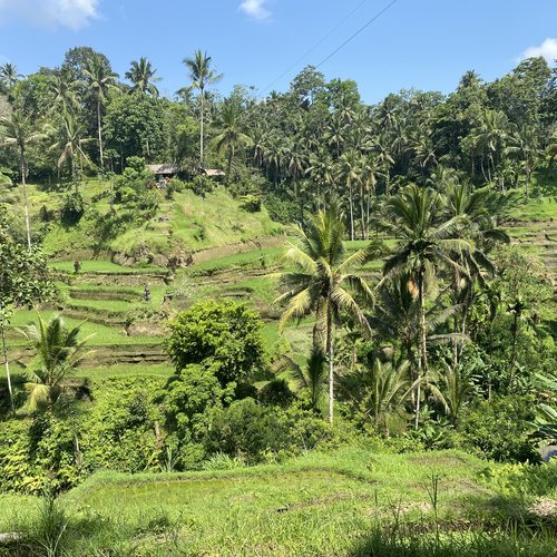 Souvenir du voyage de Ruth, Indonésie