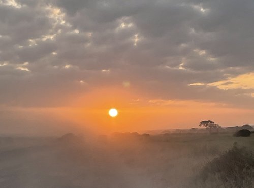 Souvenir du voyage de Michèle, Kenya