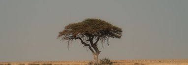 Souvenir du voyage de Fanny, Namibie