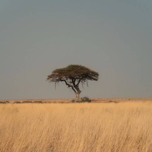 Souvenir du voyage de Fanny, Namibie