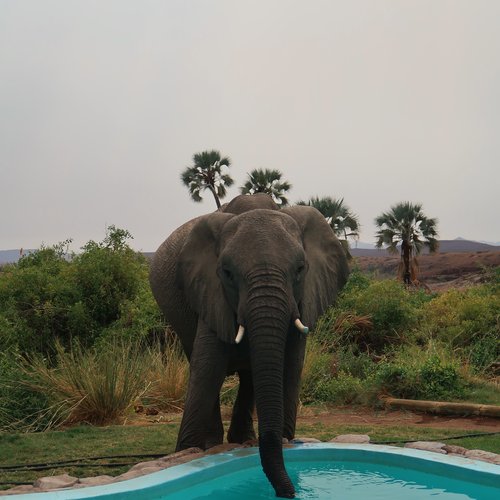 Souvenir du voyage de Fanny, Namibie