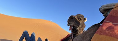 Souvenir du voyage de Priscilla, Maroc