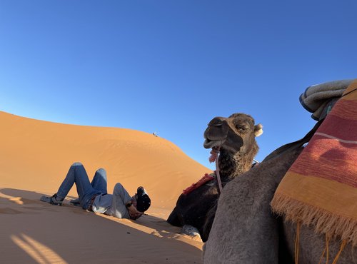 Souvenir du voyage de Priscilla, Maroc