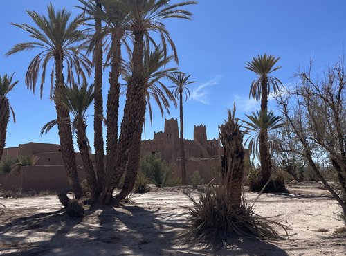 Souvenir du voyage de Priscilla, Maroc