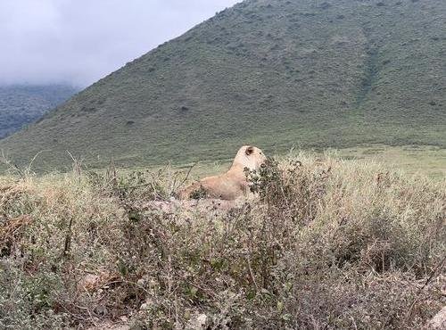 Souvenir du voyage de Gilles, Tanzanie
