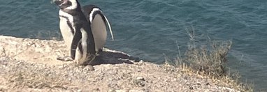 Souvenir du voyage de Jean, Argentine