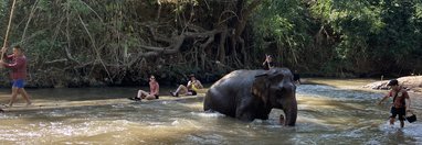 Souvenir du voyage de Chantal, Thaïlande