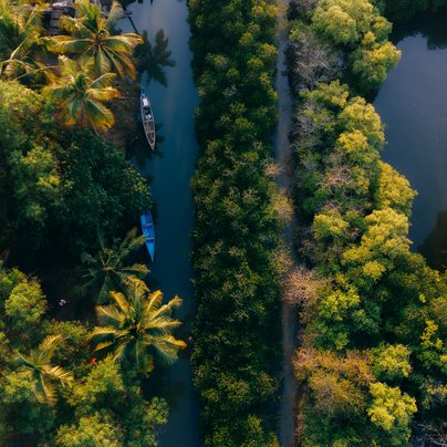 Nature au Kerala en Inde