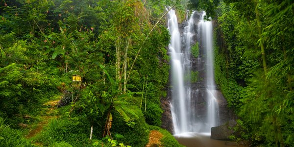 Indonésie cascade Munduk