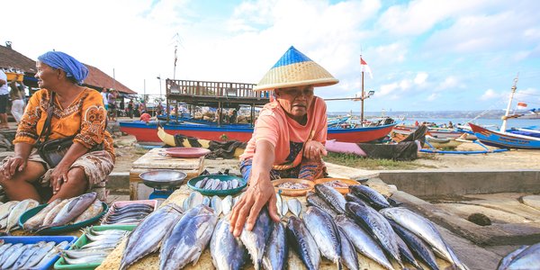 Indonésie Bali marché poissons Jimbaran fish market
