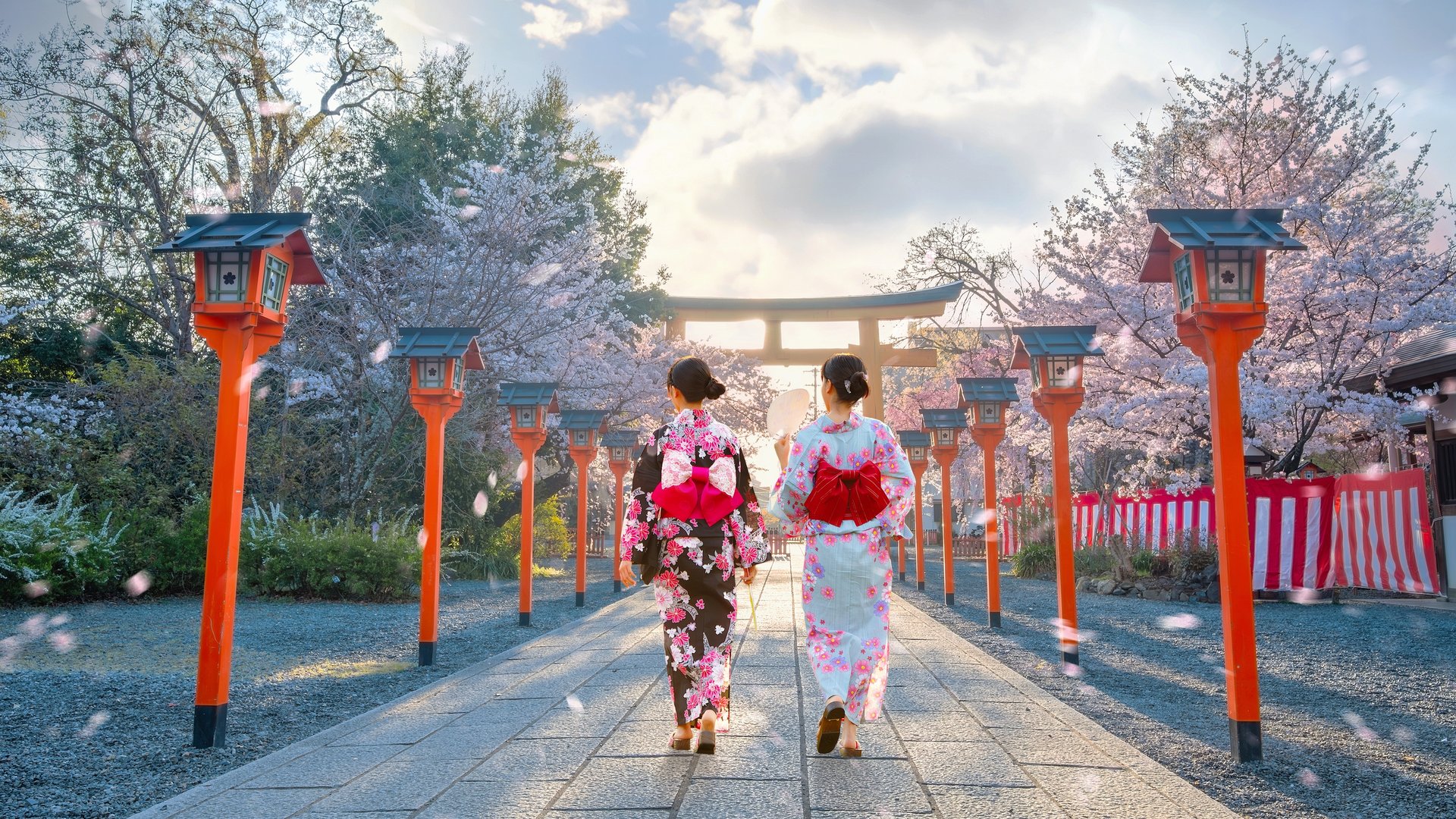 Jeune femme japonaise en robe traditionnelle Yukata se promène au sanctuaire Hirano jinja pendant toute la saison des fleurs de cerisiers