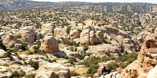 Jordanie vallée de Dana