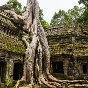 Krong Siem Reap, Cambodge