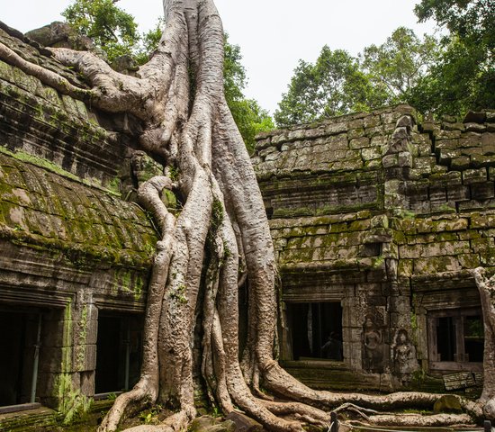 Krong Siem Reap, Cambodge