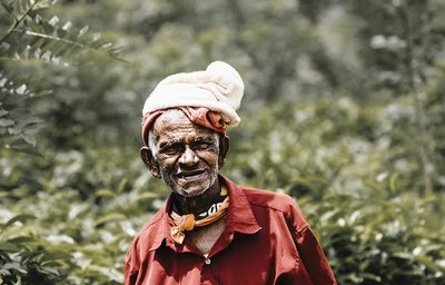 LES DEFENSEURS ENVIRONNEMENT kasun peiris dBxrBkLH5Cc unsplash