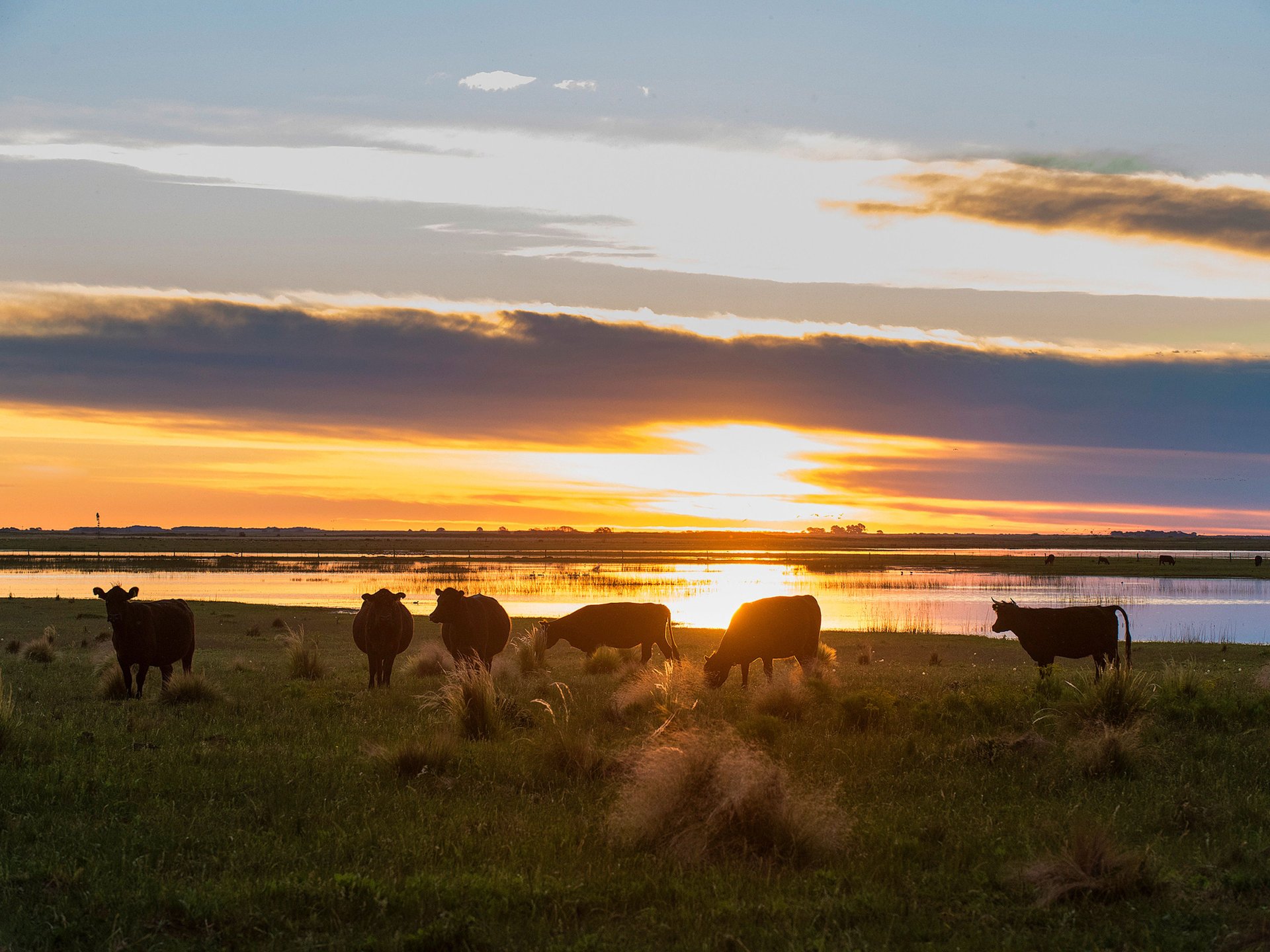 La Pampa, Argentine