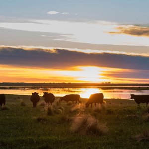 La Pampa, Argentine