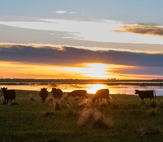 La Pampa, Argentine